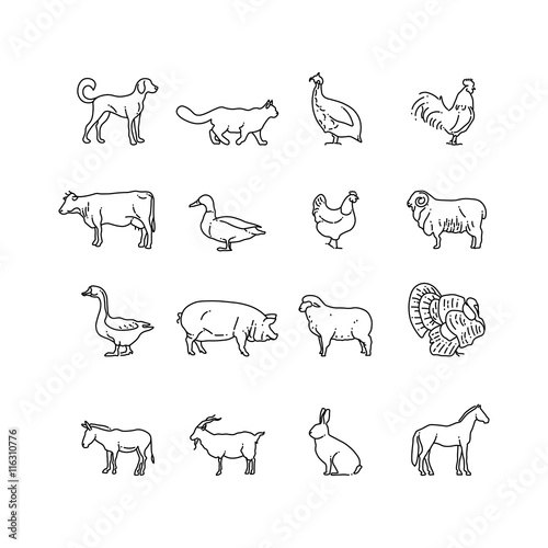 Stampa su tela Farm animals vector thin line icons set
