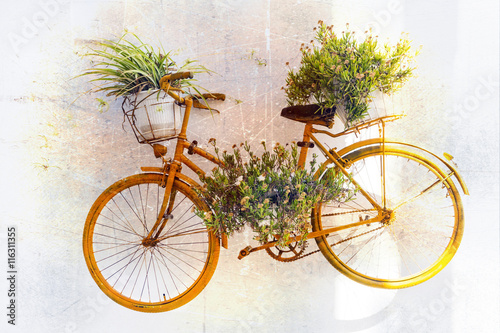 Obraz stary rower z roślinami