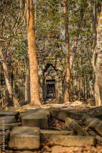 Angkor Wat ruins in rain forest