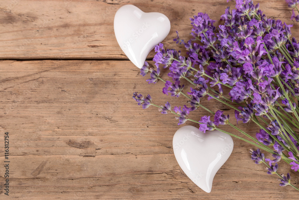 Lavendel stock foto adobe stock