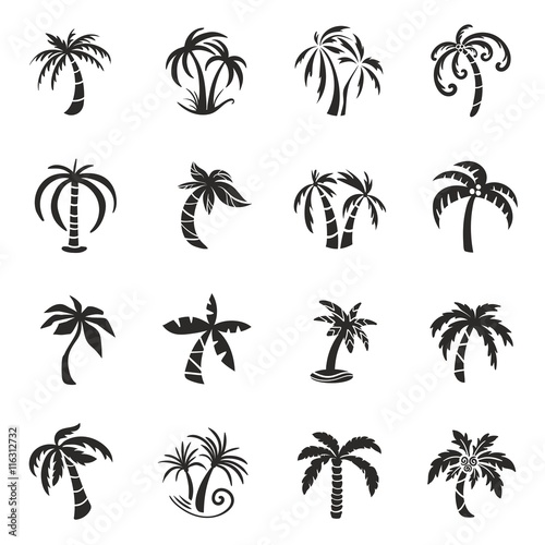 Palm Tree Vector Icons