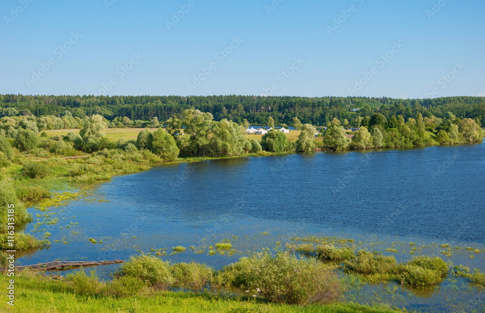 Summer landscape with river and forest on the banks
