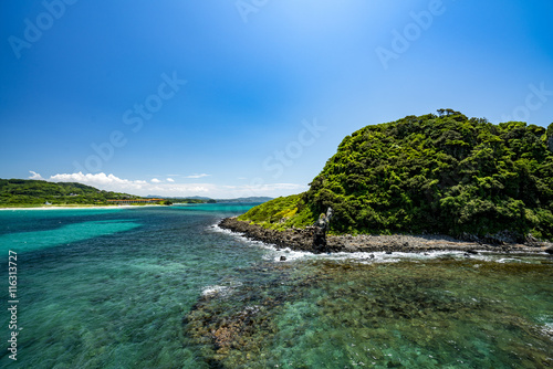 角島 鳩島