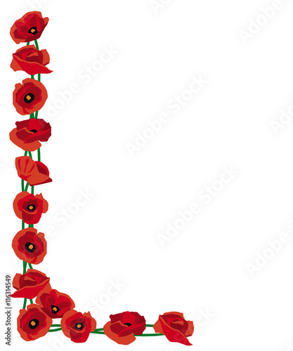 Fototapeta Naklejka Na Ścianę i Meble -  Bunch of red poppies for remembrance or decoration