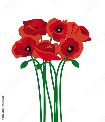 Bunch of red poppies for remembrance or decoration