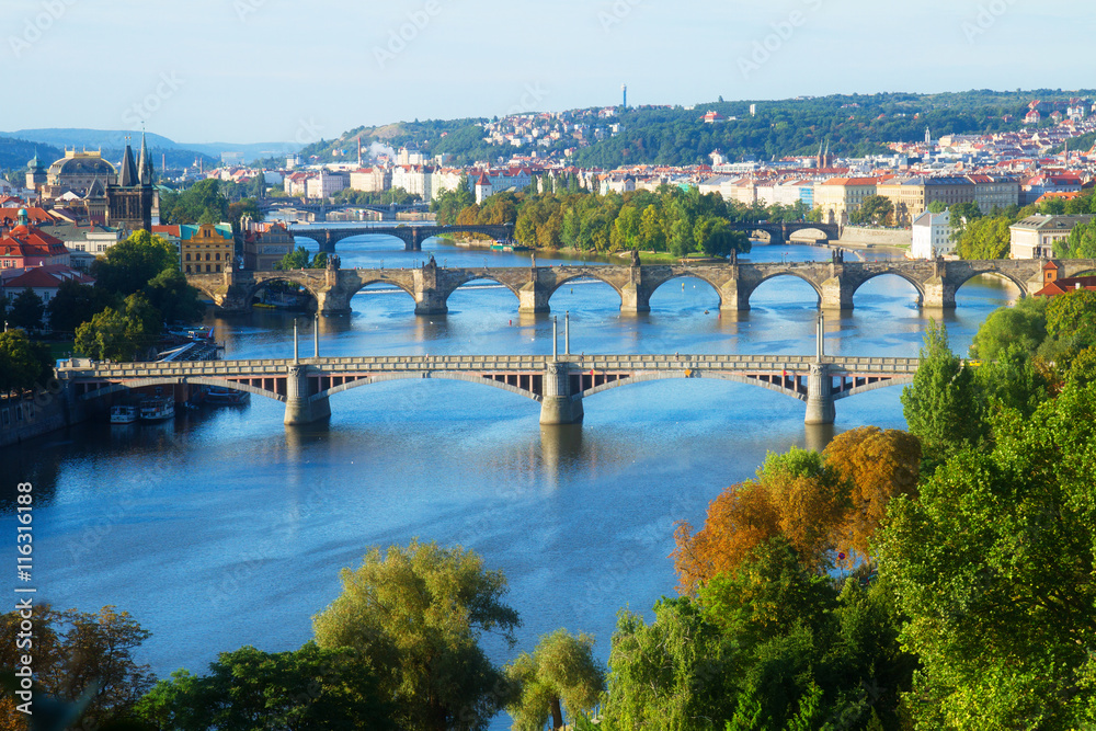 Obraz premium Bridges of Prague over VLtava river