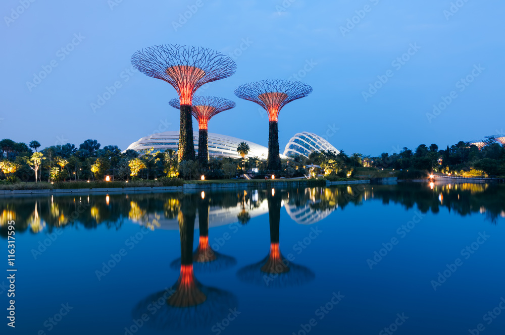 Fototapeta premium Night view of the Supertree Grove in the Graden by the Bay in Singapore. 