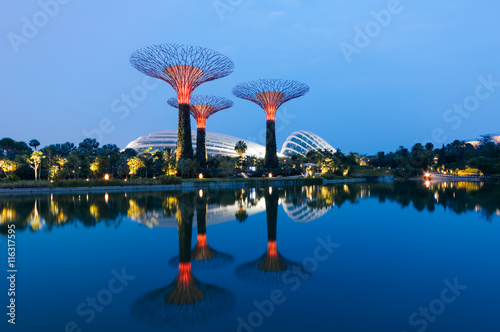 Night view of the Supertree Grove in the Graden by the Bay in Singapore. 
