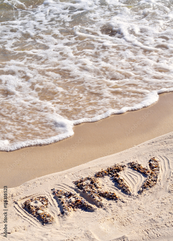 Fototapeta premium Party on the golden sand on the seashore.