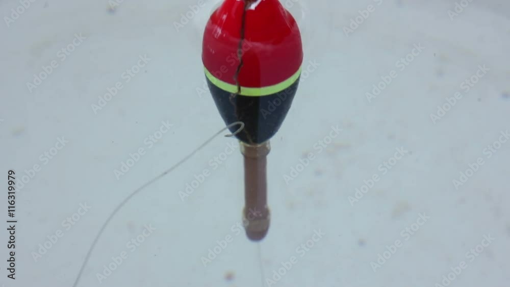 Fishing Float in Water Bite Fishing Float in Water Bite