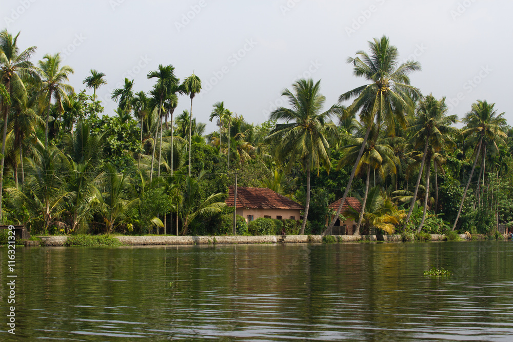 Obraz premium Allepey city on water. Backwater, rice plantation, coconuts palm mango tree. River landscape