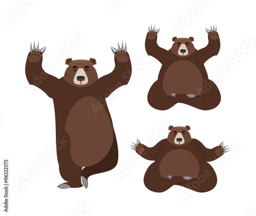 Bear meditates. Wild animals on white background. Status of nirv