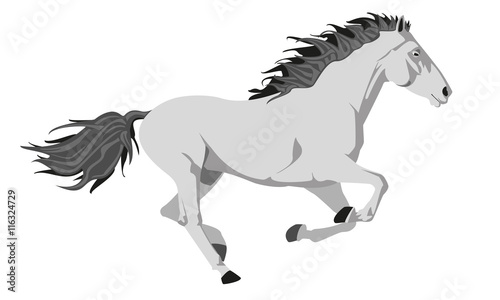 rennendes Pferd
