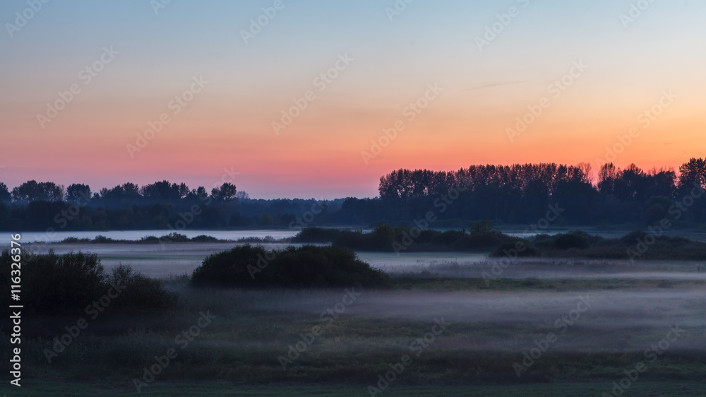 Sunset over foggy meadow