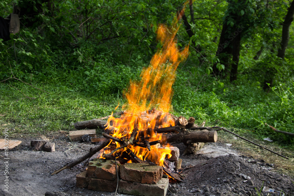 Bonfire in the forest. Bonfire in the forest.