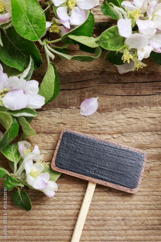 Blank blackboard label and flowering twigs of apple tree on wood Blank blackboard label and flowering twigs of apple tree on wood