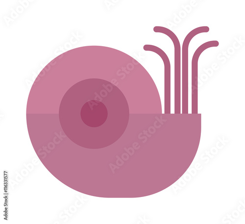 Sea shell cartoon sea clams vector illustration. Snail aquarium underwater shape cartoon clams. Coral marine cartoon clams cute tropical graphic art. Marine water ocean seashell.