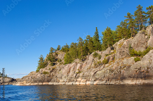 Beautiful summer landscape with forest, lake