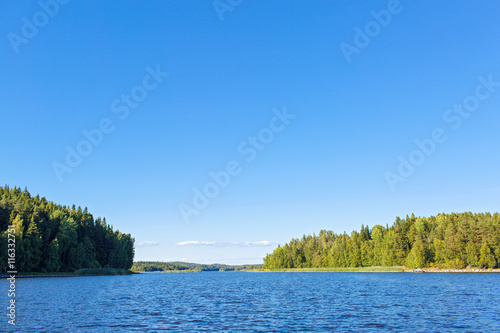 Beautiful summer landscape with forest, lake photo