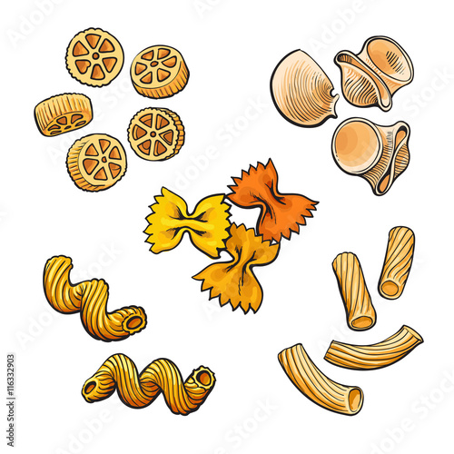 Big collection of italian pasta sketch style vector illustration isolated on white background. Set of shells bow spiral penne fusilli tagliatelle pasta. Different types of italian noodles