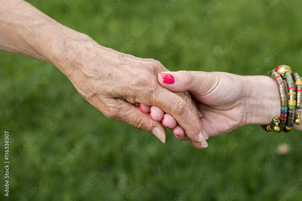 Old and young woman holding hands on green background, closeup Old and young woman holding hands on green background, closeup