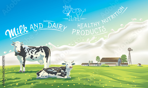 Two cows in the background of the summer landscape and splash from the milk, as well as graphic elements.