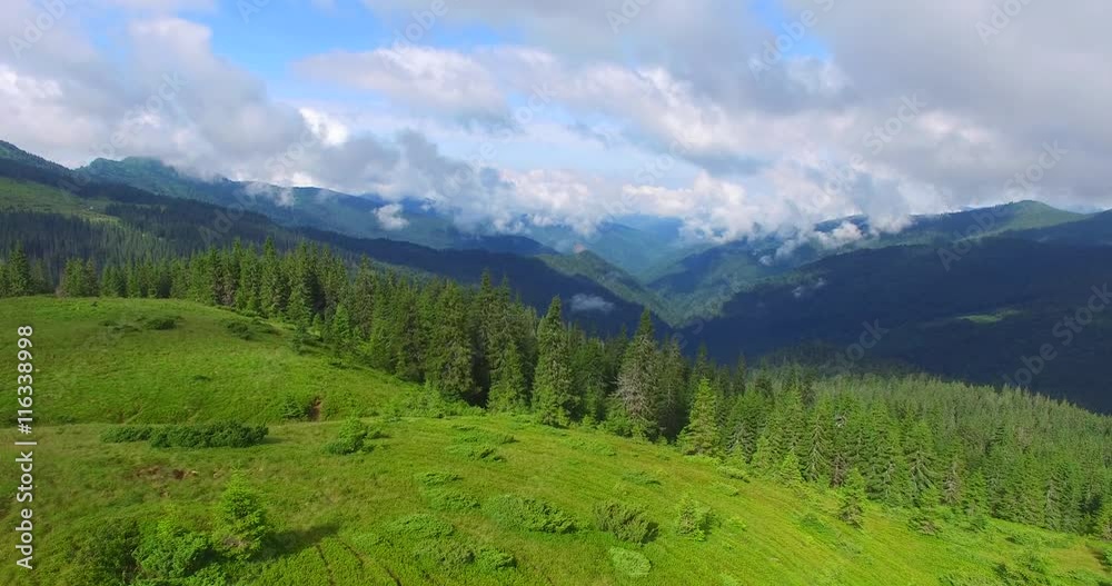 Flying over the canyon in the Carpathian mountains. Sunny morning in the mountains covered with fir forest. Flying up. Aerial view. Flying over the canyon in the Carpathian mountains. Sunny morning in the mountains covered with fir forest. Flying up. Aerial view.