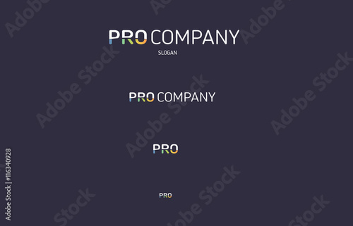 Pro colored line letter flat logo
