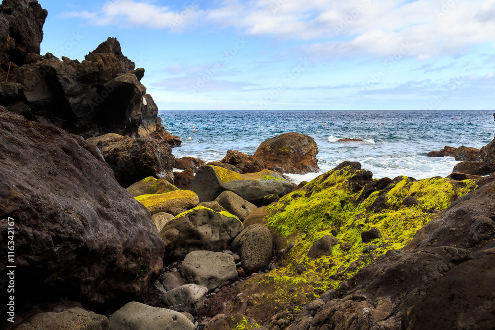 Moss stone and ocean on Madeira island, Portugal