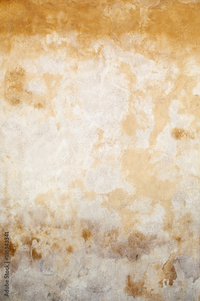 Fototapeta premium grunge cement wall