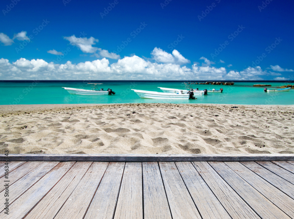Fototapeta premium tropical sea