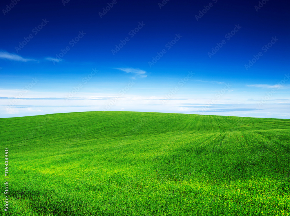 green field