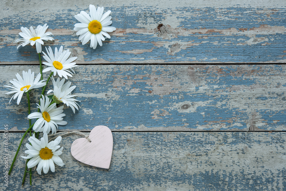 Obraz premium Daisy flowers on wooden background