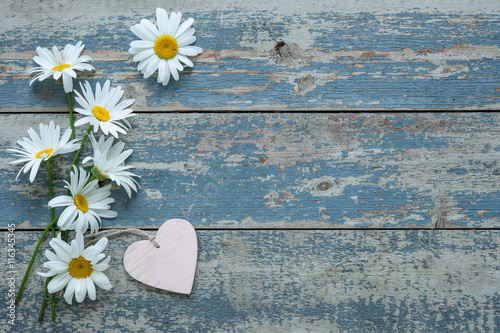 Fototapeta Naklejka Na Ścianę i Meble -  Daisy flowers on wooden background