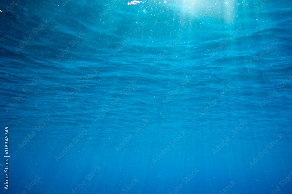 Obraz premium underwater