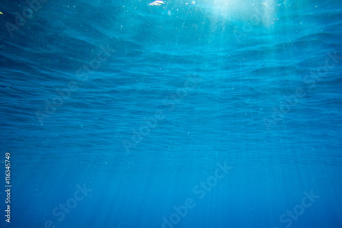 Obraz na plátně underwater