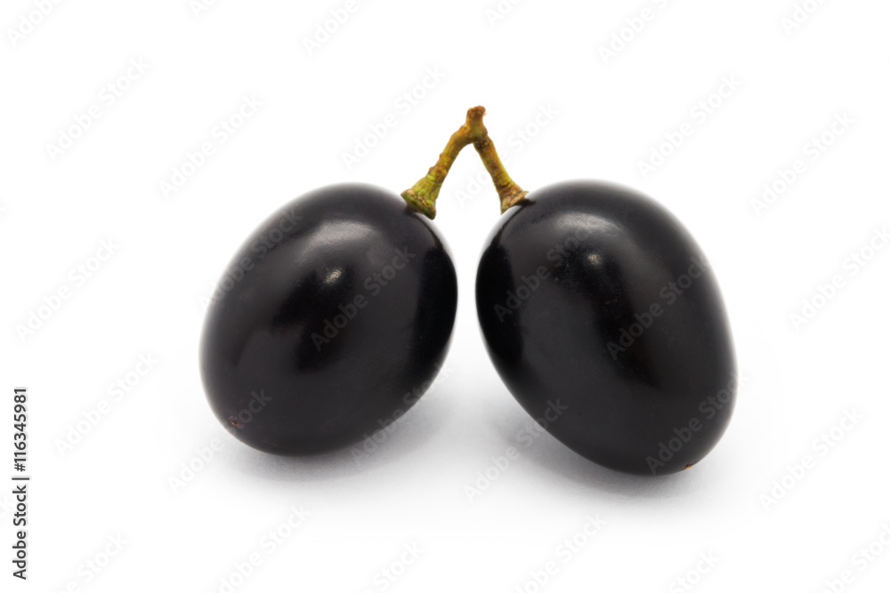 grape grape