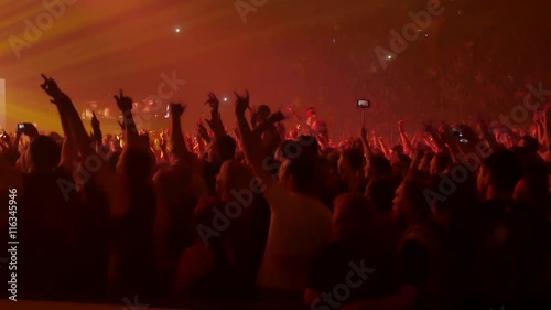 People Dancing at the Concert