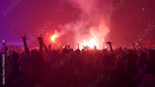 People Dancing at the Concert