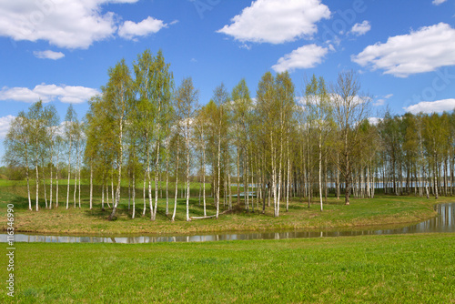 Lake landscape.