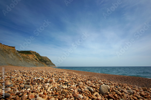 Coast at Seatown in Dorset photo