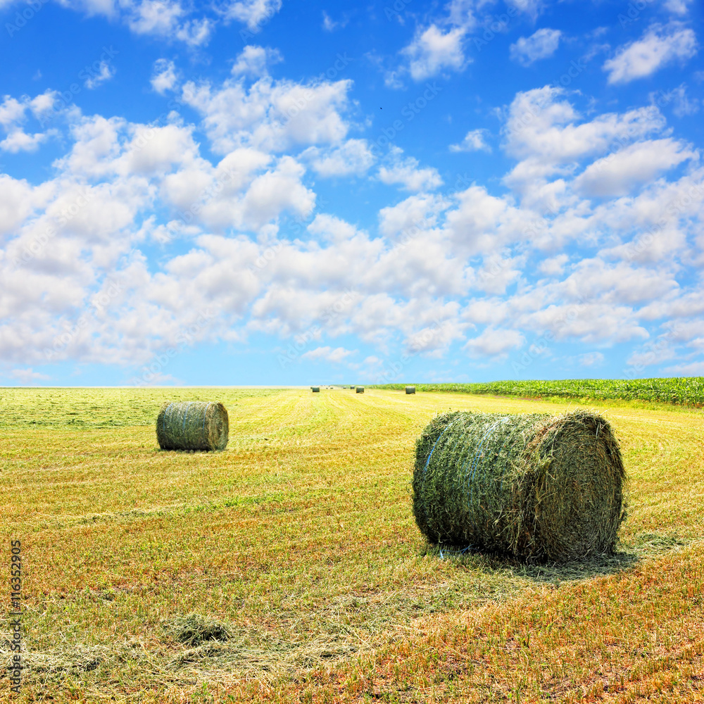 Golden stubble field and hay bales against cloudy sky.