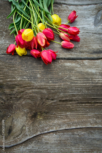 colorful tulips on wooden surface