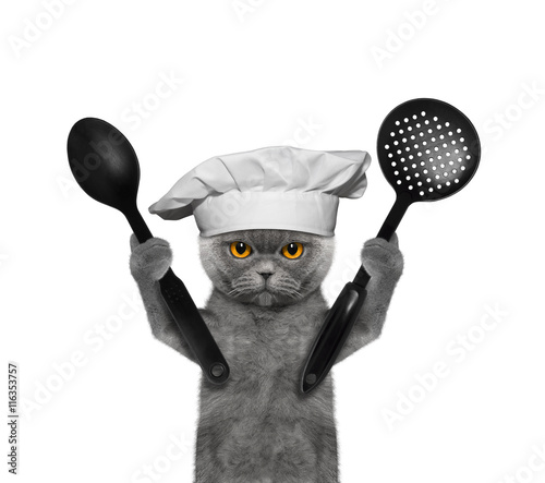 Fototapeta Naklejka Na Ścianę i Meble -  Cat chef is going to prepare meals