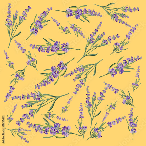 Background with flower frame Lavender for Invitation card