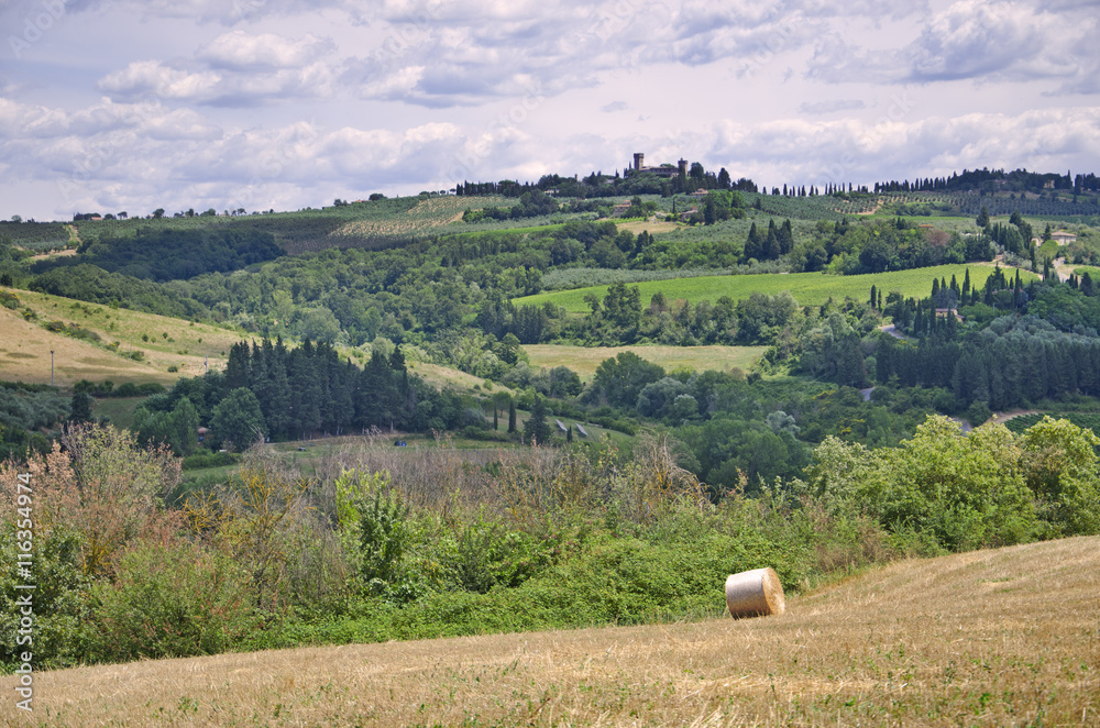 Tuscan hill and castle view 