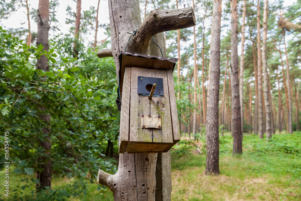 Vogelhäusschen am Baum