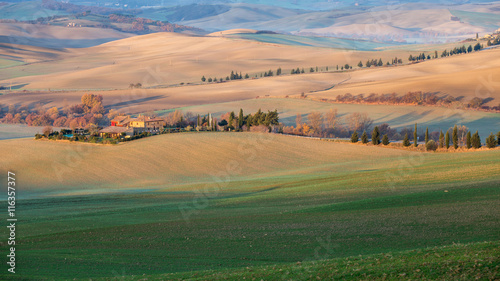 Farmhouse, cultivated grain Fields and Cypress Trees in Tuscany