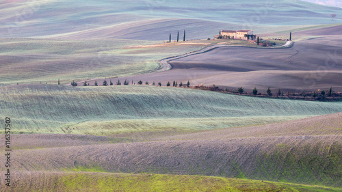 Tuscany Landscape with Farmhouse, fields and Cypress Trees