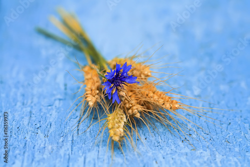 flower cornflower, and corn bread laying on blue painted wooden surface
